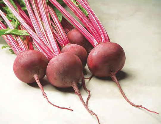 RED ACE Beet Seeds