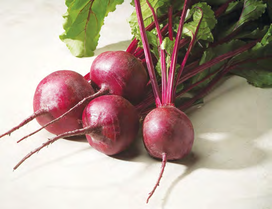 MERLIN Beet Seeds