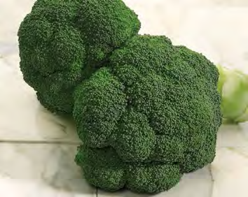 IMPERIAL Broccoli Seeds