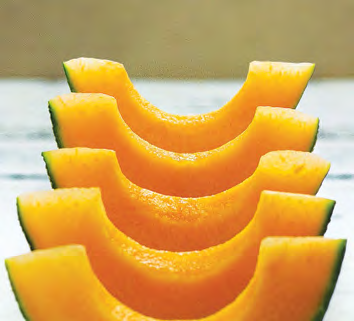 INFINITE GOLD Melon Seeds