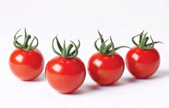 BRAVEHEART Tomato Seeds
