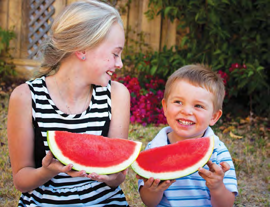 BELMONT Watermelon Seeds